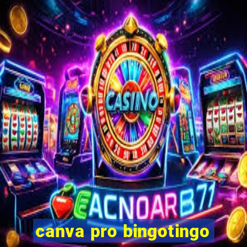 canva pro bingotingo